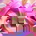 Neeko